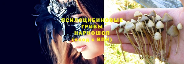 гидра Богданович