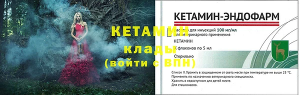 гидра Богданович