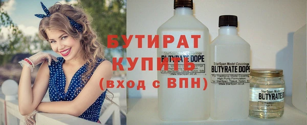 гидра Богданович