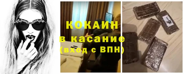 гидра Богданович