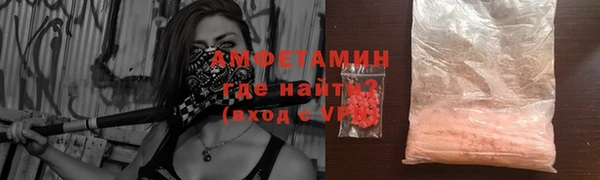 гидра Богданович