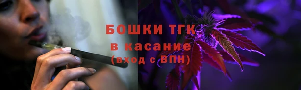 гидра Богданович