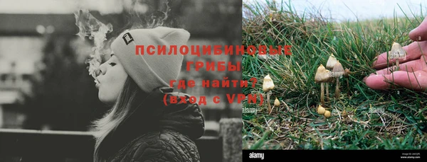 гидра Богданович