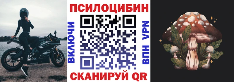 Галлюциногенные грибы прущие грибы  Дудинка 